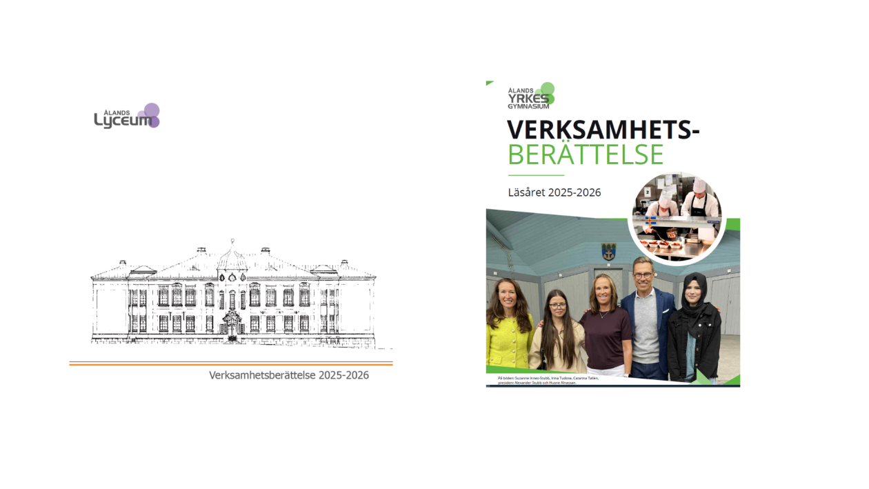 bildverksamhets