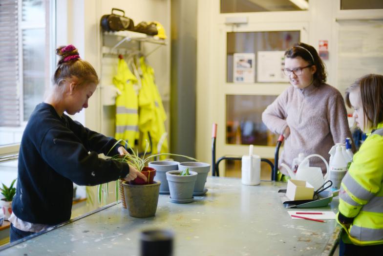 Studerande som jobbar med växter