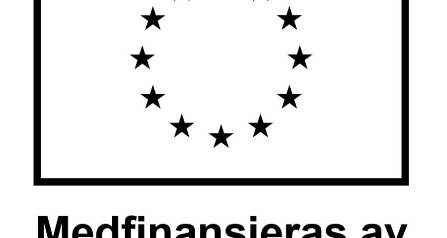 Erasmus logo