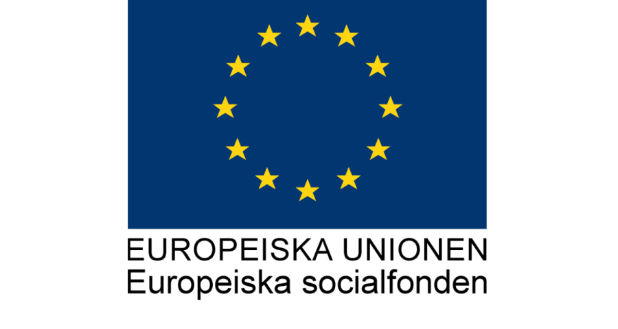 Europeiska socialfonden