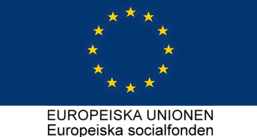 Europeiska socialfonden